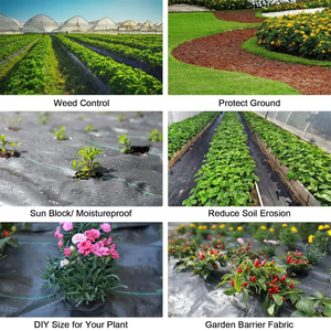 Heavy Duty PP Black Agro Weed Control Mat UV Resistant Plastic Mulch Landscape Fabric - Product Image 5