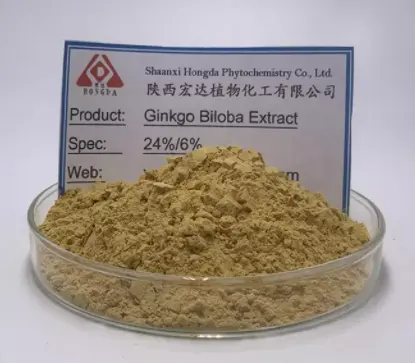 Ginkgo Blatt pulver Ginkgo Biloba Folium Extrakt Pulver Ginkgo Biloba Extrakt