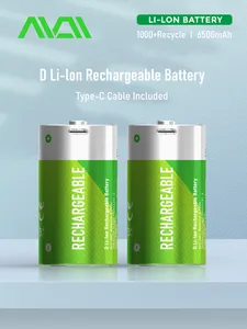 Oem batteria al litio D dimensioni 1.5v batterie ricaricabili D per il telescopio