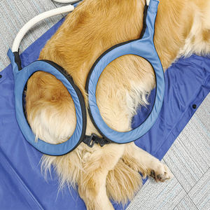 Skalet EMTT Veterinária Máquina de terapia magnética para gatos Cães Esportes Lesão Reparação Eletromagnética Dor Alívio Mãos Comerciais - Product Image 4