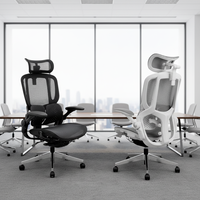 Chaise de bureau ergonomique en maille, structure en fer, soutien lombaire 4D, hauteur réglable, pivotant à 360°, certifiée BIFMA, design moderne