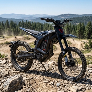 <span class=keywords><strong>Moto</strong></span> électrique tout-terrain homologuée UE 2026 Arctic Leopard XE L1E-B, batterie 74V 60Ah, puissance de pointe 4kW - Product Image 1