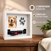 Boîte de présentation commémorative pour animaux de compagnie, cadre en bois, façade en verre, pour cendres, photos, colliers et empreintes de pattes, cadeau, vente en gros