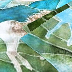 2025 nuovo scialle di alta qualità in Chiffon di seta 100% sciarpa lunga in <span class=keywords><strong>Tulle</strong></span> di seta naturale 53*162CM personalizzazione all'ingrosso - Product Image 6