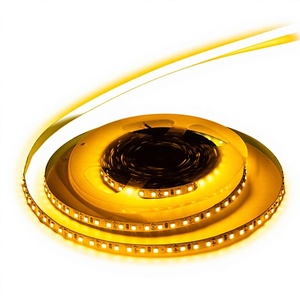 Tira de LED Blanca Cálida de 12V 24V, Bajo MOQ Disponible, Cinta de Luz LED Flexible para Iluminación Comercial y del Hogar - Product Image 1