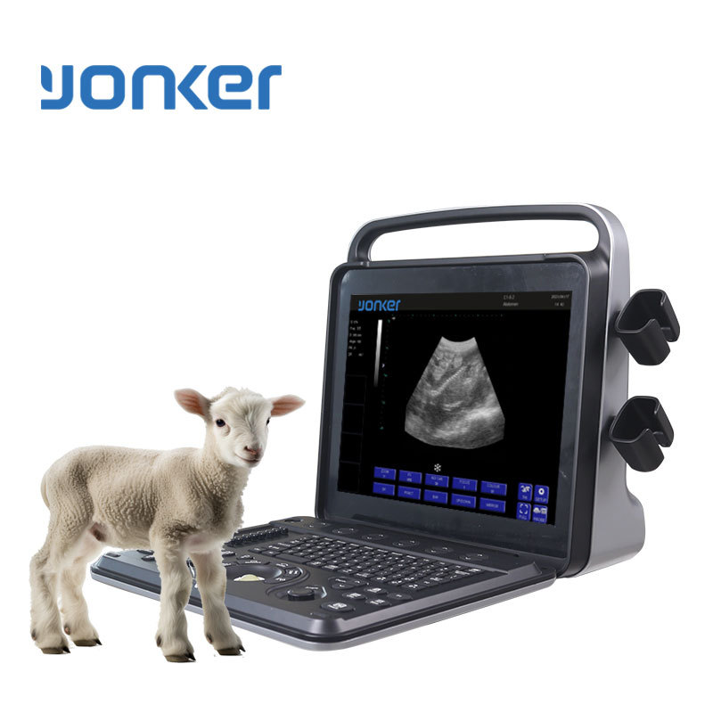 Yonker Vital Sign Monitor for Veterinary