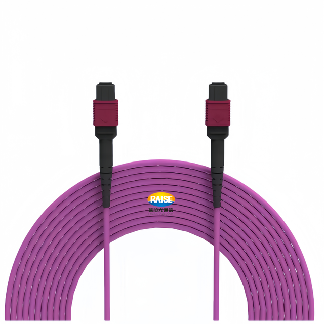 MPO to MPO MTP to MTP Patch Cable SM/MM 8F 12F 24F High Density Fiber Optic Trunk