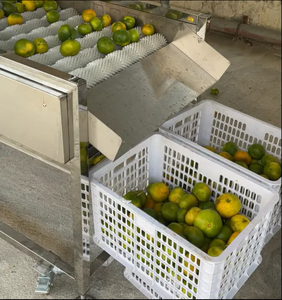 Apple passion <b>fruit</b> <b>fruit</b> and <b>vegetable</b> peach lemon potato high-pressure spray brush type multifunctional cleaning <b>machine</b> - Product Image 2