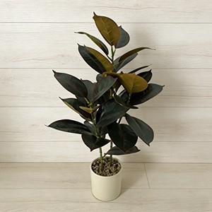 ต้นยางพาราบอนไซประดับตกแต่งภายในอาคาร ต้นไม้จำลอง ใบไม้จำลอง - Product Image 6