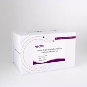 Kit <span class=keywords><strong>ELISA</strong></span> indirect pour l'herpèsvirus équin |   <span class=keywords><strong>Test</strong></span> d'anticorps EHV-1/EHV-4 |   Kit de diagnostic vétérinaire 96T - Product Image 5