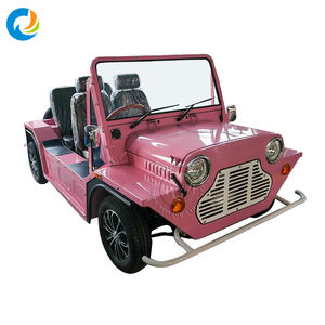 Robetaa Nouvelle Énergie <span class=keywords><strong>Mini</strong></span> <span class=keywords><strong>Moke</strong></span> Électrique à Suspension Indépendante, <span class=keywords><strong>Mini</strong></span> <span class=keywords><strong>Moke</strong></span> de Voyage à Vendre en Afrique du Sud - Product Image 5