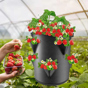 Offre Spéciale jardin légumes fruits Flet plante sac de culture pomme de terre fraise sacs de culture - Product Image 5