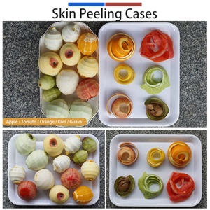 เครื่องปอกผลไม้ไฟฟ้าขนาดเล็กสำหรับปอกกีวี บีทรูท แอปเปิ้ล ส้ม - Product Image 4