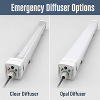 Lumière LED d'urgence SHIZI Tri-proof avec options de diffuseur opale transparent, bouton de test, fixation par clip, vente en gros OEM