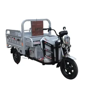 中国制造高品质货运自行车电动卡车三轮电动摩托车待售