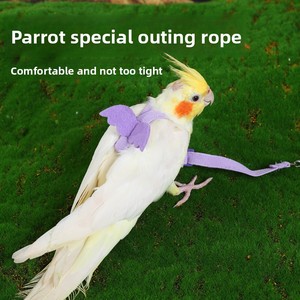 Correa de Cuerda para Pájaros y Loros, Modelo Peony-12, para Macaw, Cockatiel, Tiger Skin, Juguete para Pasear al Aire Libre - Product Image 2