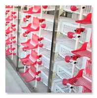 Poulailler automatique moderne à 6 étages en plastique pour cailles, à vendre au Ghana, en Allemagne, au Pérou