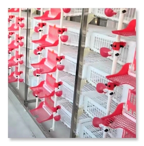 Poulailler automatique moderne à 6 étages en plastique pour cailles, à vendre au Ghana, en Allemagne, au Pérou - Product Image 2