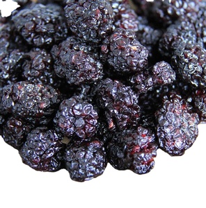 Mûres séchées de <span class=keywords><strong>nouveaux</strong></span> fruits naturels de mûre déshydratée pour la nourriture - Product Image 1