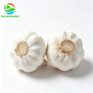 <span class=keywords><strong>Ail</strong></span> frais de haute qualité, sans bulbes pourris, provenant de fermes chinoises, durée de conservation de 12 mois, grande quantité disponible pour la Chine - Product Image 1
