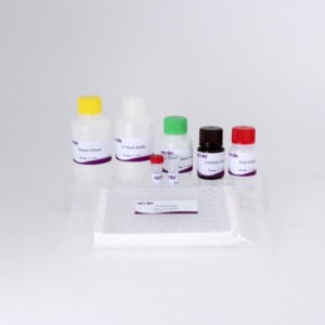 Phi lợn sốt virus kháng thể kiểm tra | cạnh tranh <span class=keywords><strong>Elisa</strong></span> Kit | độ nhạy cao | ISO chứng nhận - Product Image 6