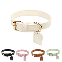 Ensemble Collier et Laisse Pratique pour Animaux de Compagnie Cortex – Accessoire Loisir Anti-Rayures Estampé à Chaud pour Chats et Chiens de Petite et Moyenne Taille – Idéal pour la Promenade Quotidienne