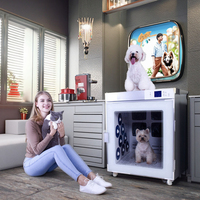 EUR PET Séchoir électrique automatique de haute qualité pour animaux de compagnie Séchage sûr ultra silencieux Contrôle précis de la température Eco-friendly for