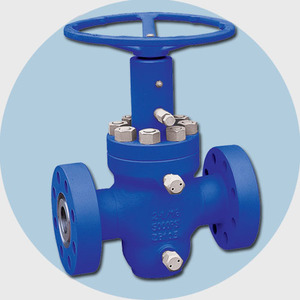 Vanne hydraulique haute température API6A Oteco, matériaux personnalisés, taille de port 1-1/2, garantie 3 ans pour le contrôle du gaz - Product Image 1