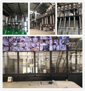 2024 nuovo raccolto di polline di pino organico in polvere per uso alimentare 99% di polline di pino rotto nella confezione di tamburo/bottiglia - Product Image 4