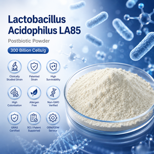 Lactobacillus Acidophilus LA85 à Haute Stabilité 300 milliards de cellules/g Ingrédient Postbiotique pour la Fabrication de Compléments Alimentaires - Product Image 1