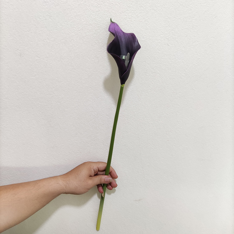violet foncé YL80450