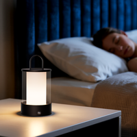Luminosité réglable Blanc Chaud Classique Nordique Lampe De Bureau Lampe Moderne Portable Led Classique Travail Lumière Veilleuse