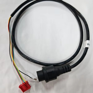 5-draads automatische kabelboom, rode 2-pins en waterdichte ronde stekker, 1 m veelkleurige koperdraad elektrische kabelassemblage voor auto's - Product Image 1