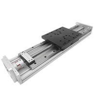Rail de guidage linéaire double coulissant de précision LYGT150-20 pour robot automatique, actionneur linéaire à axe XYZ, roulement industriel