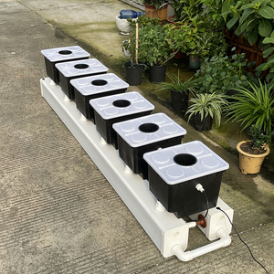 Sistema completo de cubo hidropónico holandés con bomba de alta rigidez PP película UV invernadero para el cultivo de verduras - Product Image 5