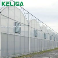 Serre en plastique de 30 x 10 m à vendre, taille personnalisée, serre agricole