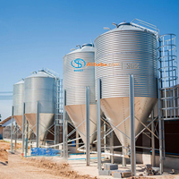 Silo in Acciaio BST da 30 Tonnellate per Allevamenti Avicoli, Stoccaggio Cereali, Sistema di Alimentazione Chicchi di Caffè, Spessore 1,2 mm, 1 Anno di Garanzia, Personalizzabile Digitalmente