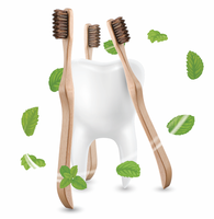 Brosses à dents durables et écologiques - Conception naturelle - Poils en crin de cheval - Options personnalisables pour adultes - Usage domestique