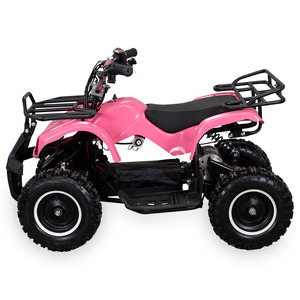 Jinling new arrival 48V 1000W Electric ATV <span class=keywords><strong>Mini</strong></span> <span class=keywords><strong>Quad</strong></span> for Kids - Product Image 1