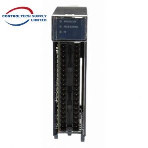 Module d'entrée analogique non isolé IC695ALG616 au meilleur prix pour systèmes industriels automatisés - Product Image 4