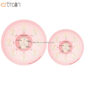 Rueda de Posición Fetal de PVC para Educación Médica, Demostración del Proceso de <span class=keywords><strong>Parto</strong></span> - Product Image 3