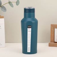Bouteille isotherme personnalisable en acier inoxydable à double paroi avec poignée, pour voyage, sport et vin, avec paille