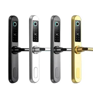 Waterproof 304 Stainless Steel Digital Biometric Smart Door Lock For Aluminum Door Wooden Door With Custom Colors
