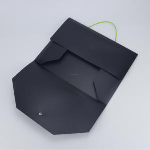 A4 <span class=keywords><strong>13</strong></span>-กระเป๋าวัสดุ PP โฟลเดอร์ที่มีความยืดหยุ่นในการยึดไฟล์ดัชนีสัญญากระเป๋าอวัยวะทดสอบ - Product Image 4