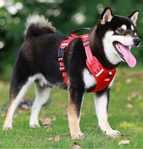 Maglia di alta qualità passo in pet gilet imbracatura regolabile senza pull cane pettorina per cani di piccole e medie dimensioni con le <span class=keywords><strong>migliori</strong></span> forniture per animali domestici - Product Image 6
