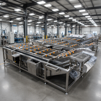 Continue bubbelwasmachine voor groenten en fruit, multifunctionele verwerkingsapparatuur