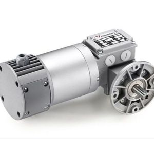 Mini moteur PCCE 24MP4N DC à aimant permanent entièrement fermé 111 tr/min sous 36 V - Product Image 1