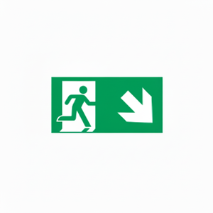 Uscita di emergenza verso il basso segno freccia destra-220 in alluminio luminescente * 120mm - Product Image 2