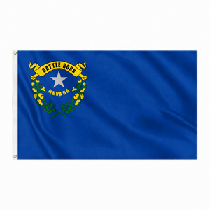 Expédition rapide Drapeau de l'État du Nevada 3x5FT, Drapeau personnalisé de l'État Silver State, Double couture, Œillets en laiton pour événements et célébrations - Product Image 1