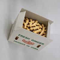Conteneur en PP ondulé recyclable pour gingembre, étanche, lavable, empilable, dégradable, pour la récolte de gingembre frais en ferme